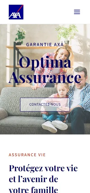 Optima Seguros (portfolio)